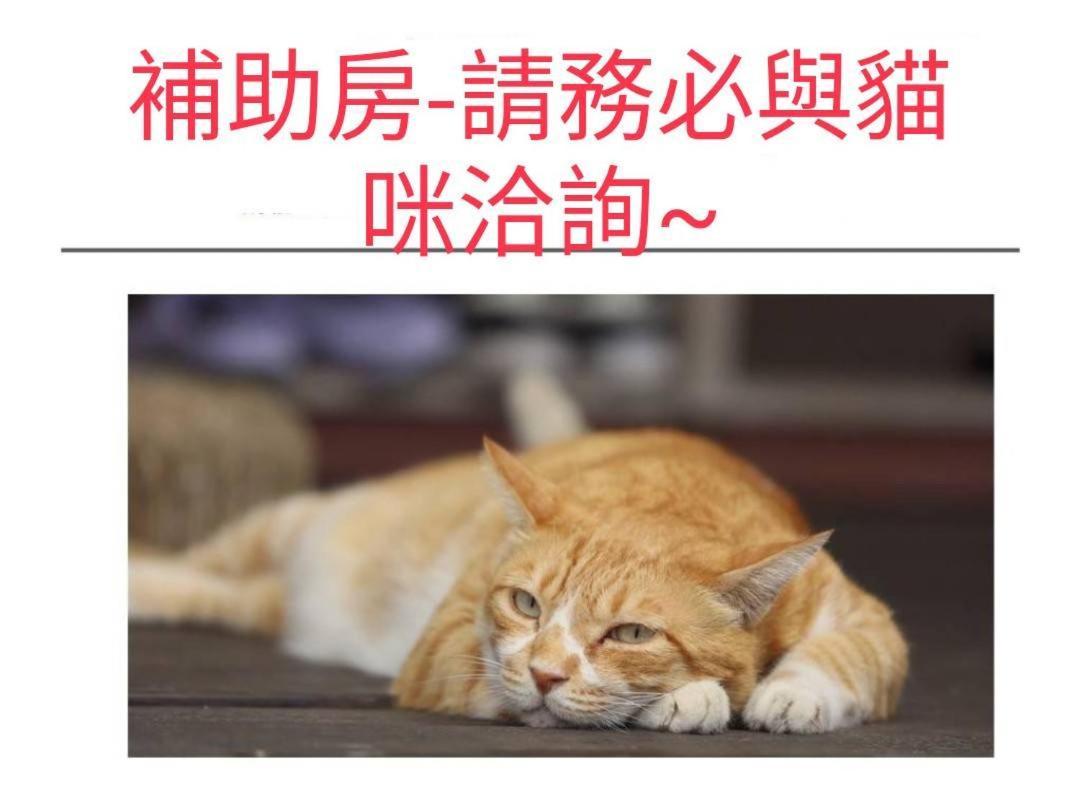 بيت شباب ميدوري ميني Taitung المظهر الخارجي الصورة